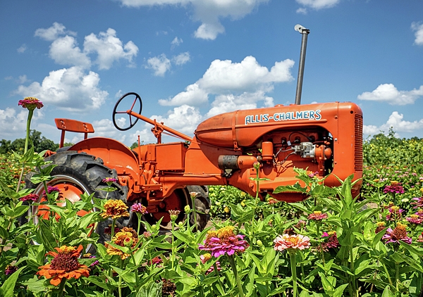 Vintage Allis Chalmers Tractor in a Field of Flowers iPhone Case