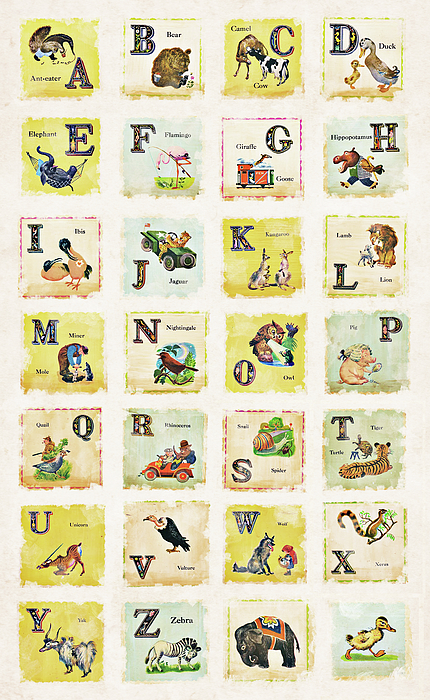 vintage animal alphabet school cards vertical image jigsaw puzzle by mihaela pater pixels