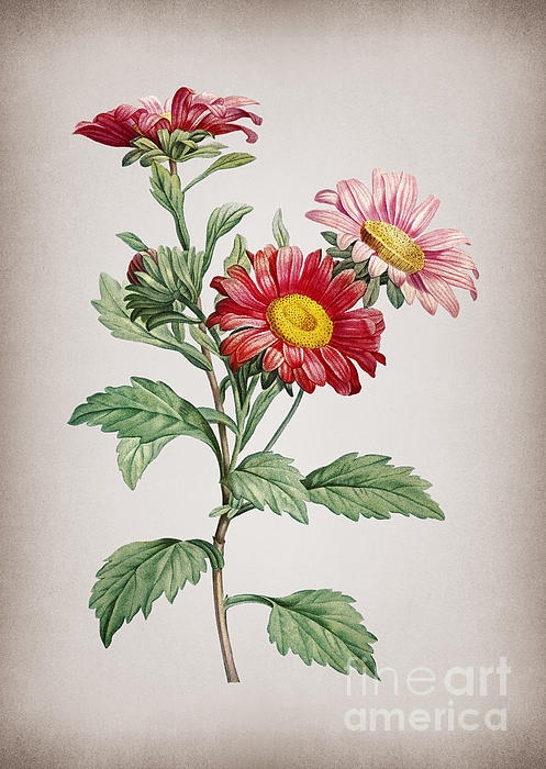 Flower Art