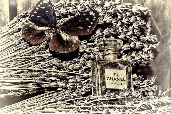 Vintage Chanel No 5 artistic iPhone Case by Paul Ward - Pixels
