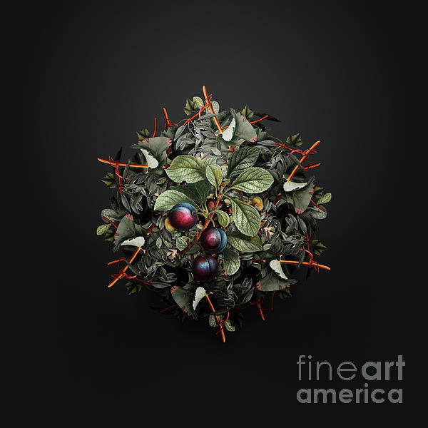 Fruit Art