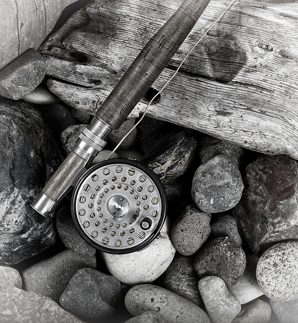 Antique vintage fly fishing reel and gear on rustic wooden backg Photograph  by Thomas Baker - Pixels