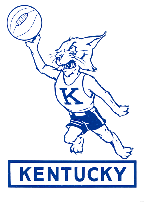 Kentucky Wildcats Towel 30x60 Beach Style - Sports Fan Shop