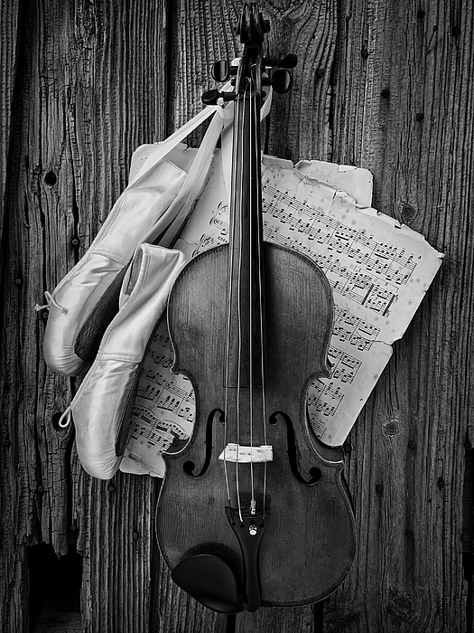 Violin With Ballet Shoes In Black And White Shower Curtain by Garry Gay -  Pixels