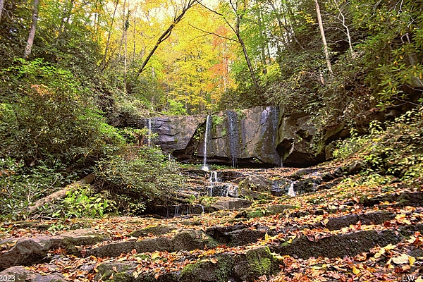 Lisa Wooten - Virginia Hawkins Falls Pickens County In Autumn 2