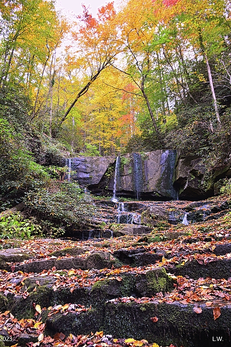 Lisa Wooten - Virginia Hawkins Falls Pickens County South Carolina In Autumn Vertical 2