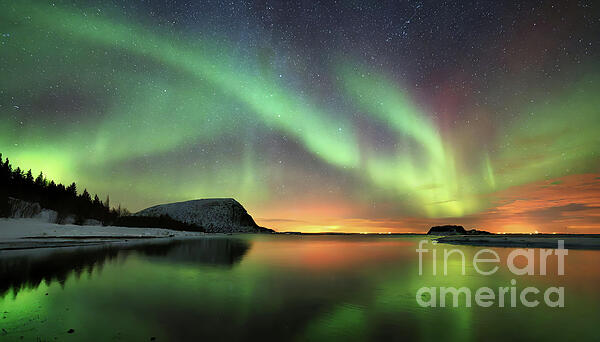 Odon Czintos - Vivid green and red auroras light up the night sky above a serene, snow-covered landscape. 