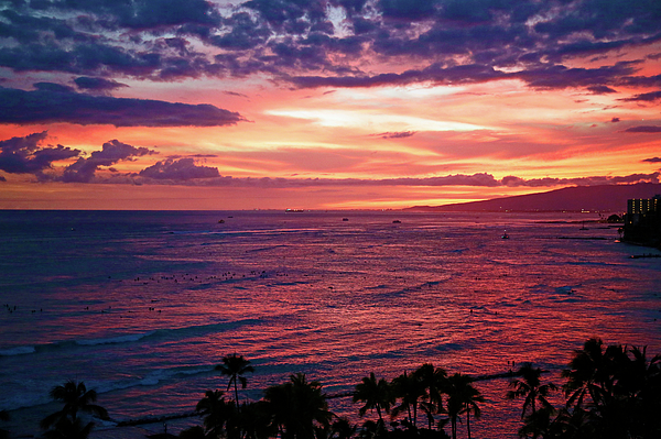 Shoal Hollingsworth - Waikiki Sunset