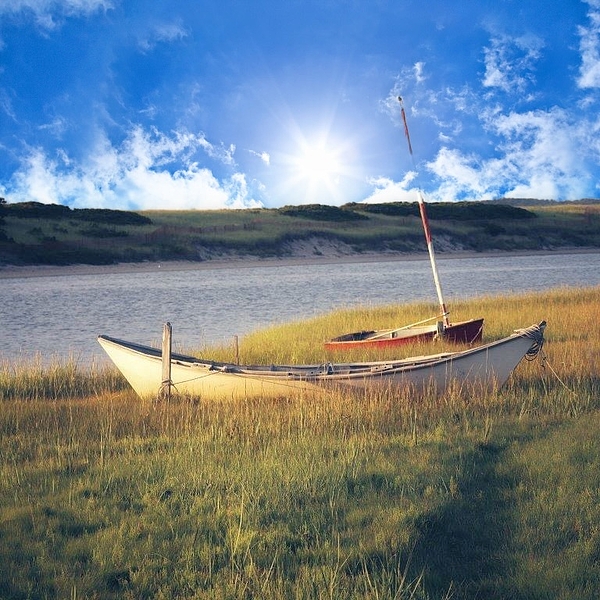 Nature Photographs