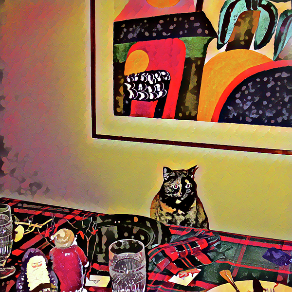 Connie Fox - Waiting to Be Fed. Cat at Christmas Dinner