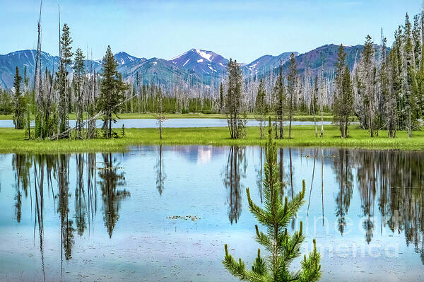 Shelia Hunt - Waldo Lake in the Cascade Mountains