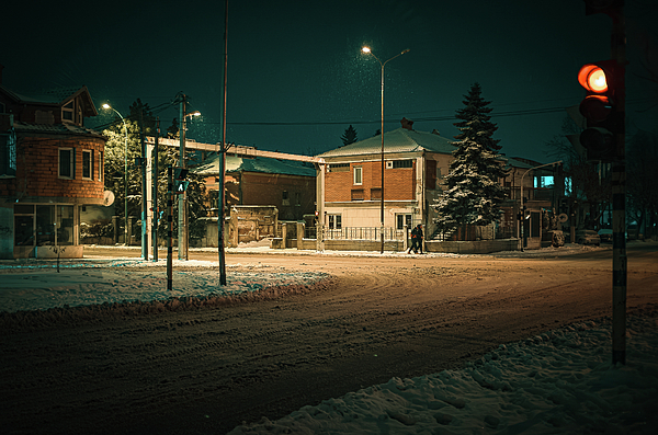 Winter Photographs