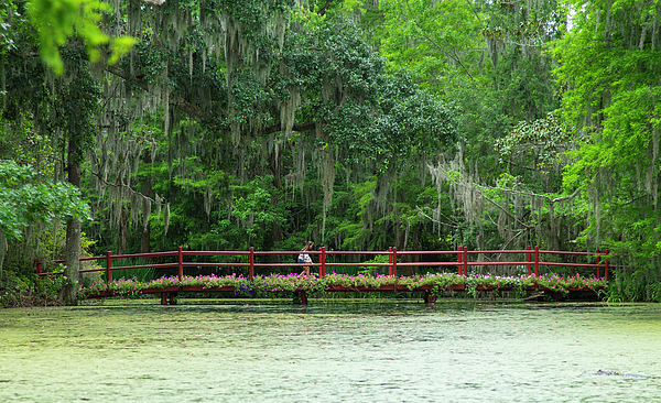 Wayne Moran - Walking Across the Red Bridge Magnolia Plantation and Gardens Charleston South Carolina