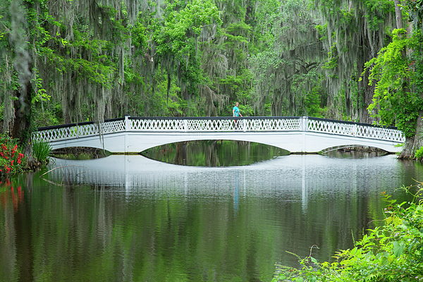 Wayne Moran - Walking Across the White Bridge Magnolia Plantation and Gardens Charleston South Carolina