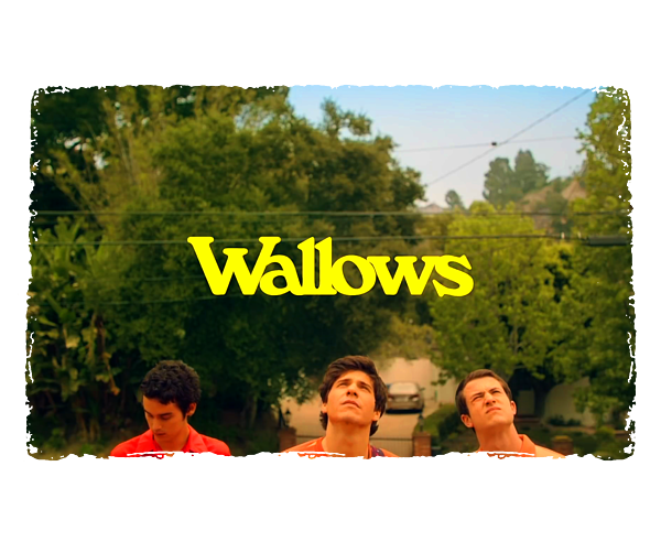 Wallows tapestry hot sale