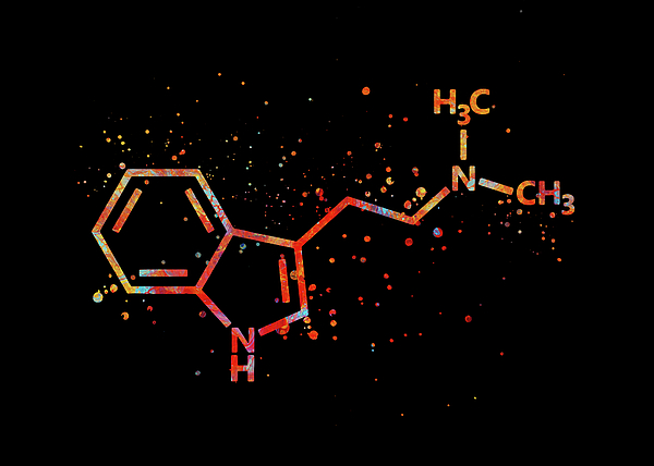 Towery Hill - Watercolor DMT Molecule Watercolor Print Chemical Molecule Symbol Wall Art Nerd Science Biology Medi