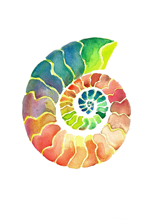 Rainbow Ammonite Yoga Mat