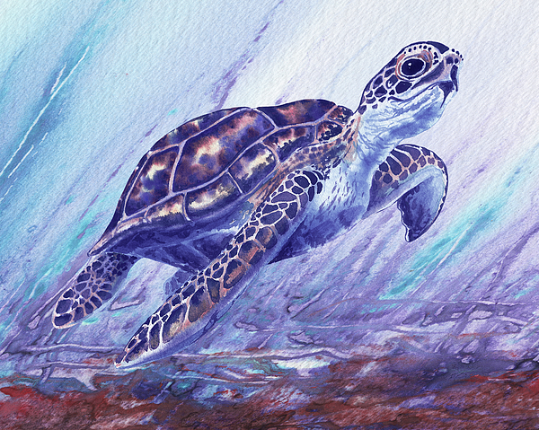 Irina Sztukowski - Watercolor Giant Sea Turtle In Purple Ocean 