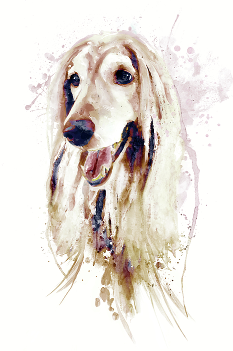 Marian Voicu - Watercolor Portrait - Afghan Hound Dog