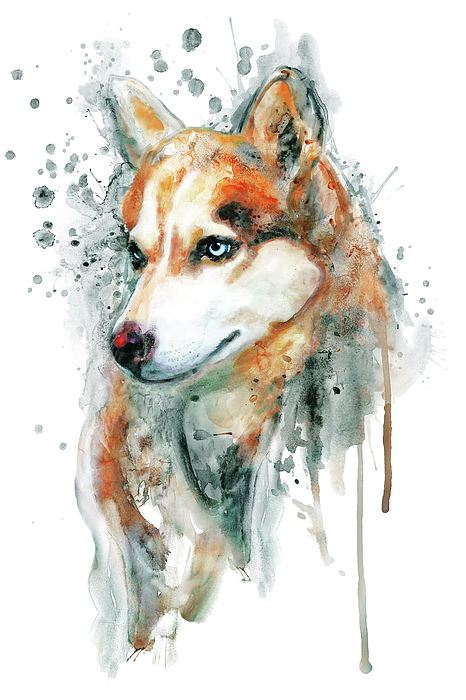 Marian Voicu - Watercolor Portrait of Red Siberian Husky