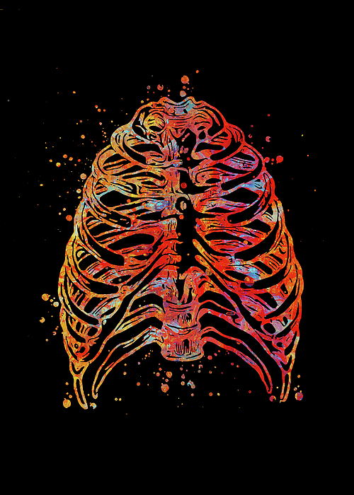 Watercolor Rib Cage Watercolor Print Human Skeleton Anatomy Medical Art ...