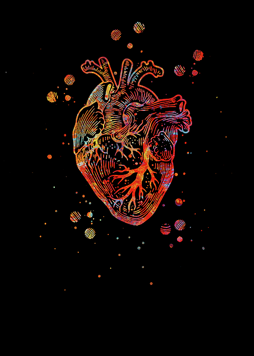 Watercolors The Heart Watercolor Print The Human Heart Poster Medical ...