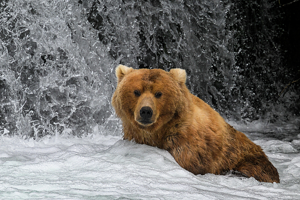 Alaska Art