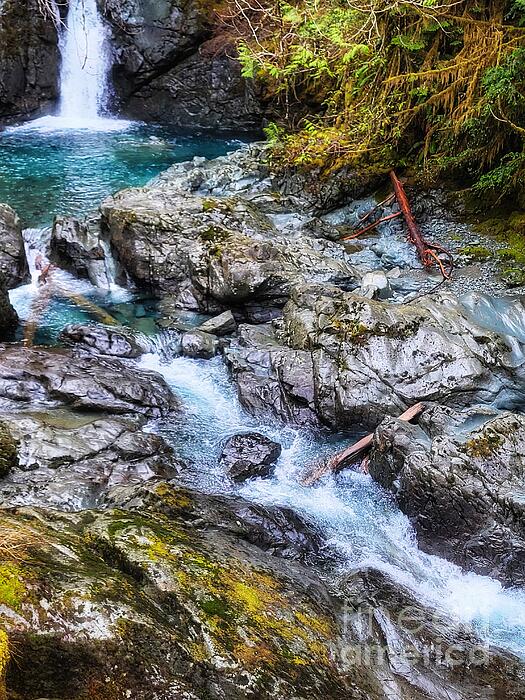 Adam Copp - Waterfall Pool - Snow Creek Vancouver Island