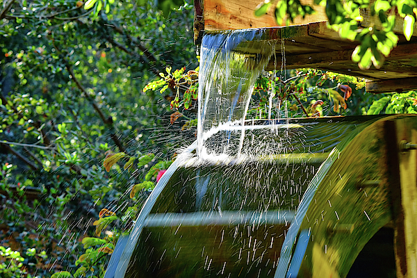 Koi Pond Fountain I Photograph by Linda Brody - Pixels