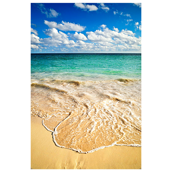 https://images.fineartamerica.com/images/artworkimages/medium/3/wave-on-tropical-beach-geraldine-somerville-transparent.png