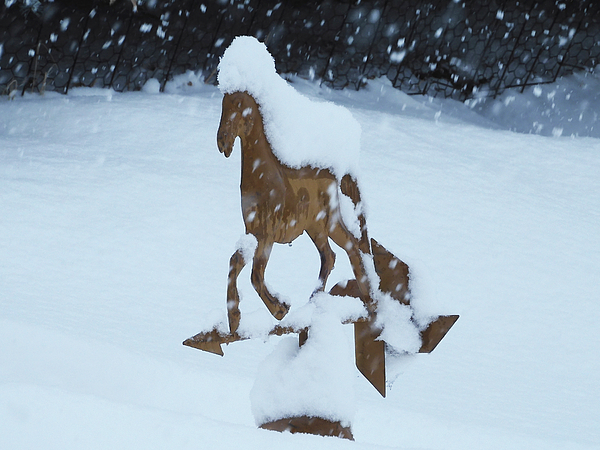 Karen Conger - Weathervane Horse Running in a Snow Storm