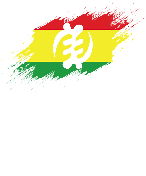 West African Flag Ghana Symbol Gye Nyame Adinkra Design Duvet Cover By Jacob Hughes Fine Art America
