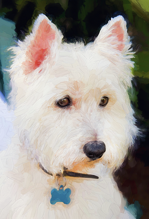 westie dog puzzle