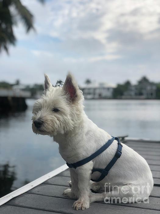 Westie on the Dock of the Bay Fleece Blanket