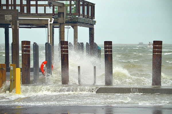 Dianne Cowen Cape Cod Photography - Wet and Wild - Chatham Fish Pier