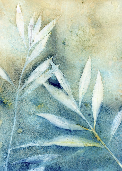 Jane Linders - Wet Cyanotype leaf botanical ombre