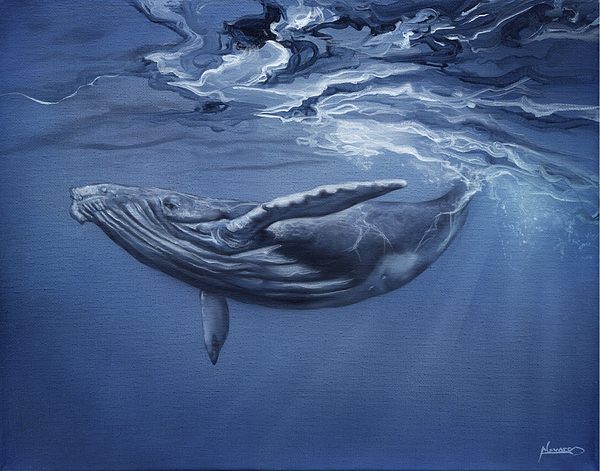 Luis Navarro - Whale