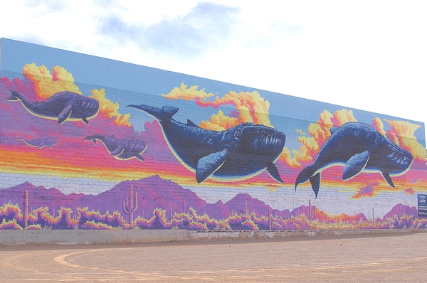Pat Goltz - Whales in the Desert Mural