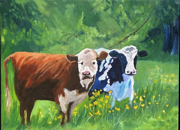 Cow Art