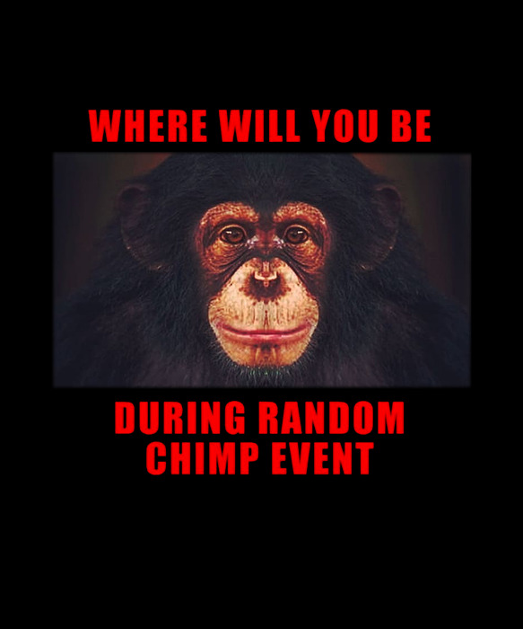 where will you be during random chimp event