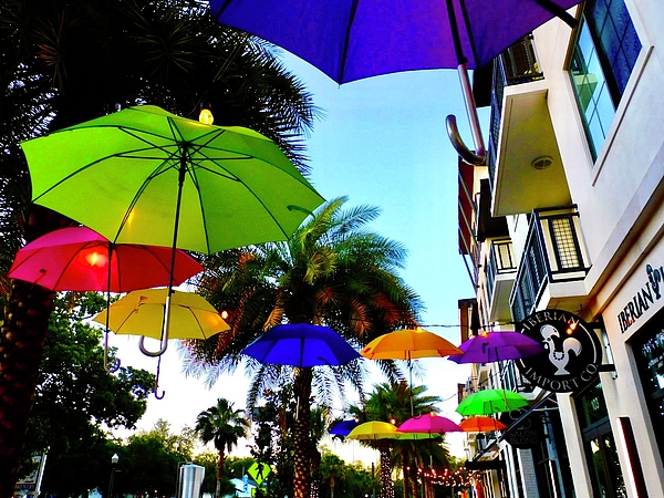 Lynne Sheehan - Whimsical Umbrellas