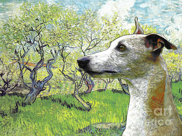 Whippet clearance jigsaw puzzles