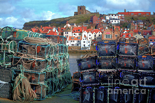 Alison Chambers - Whitby Harbour Life 