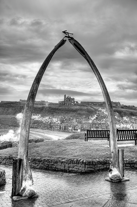 Paul Thompson - Whitby Whale Bones Arch Framing Whitby Abbey