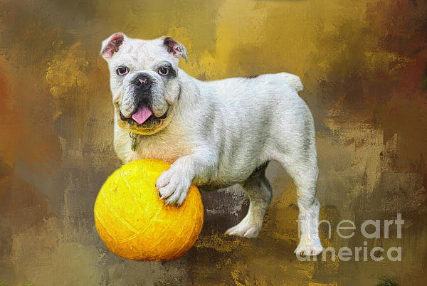 White French Bulldog with Ball Onesie by Elisabeth Lucas Fine