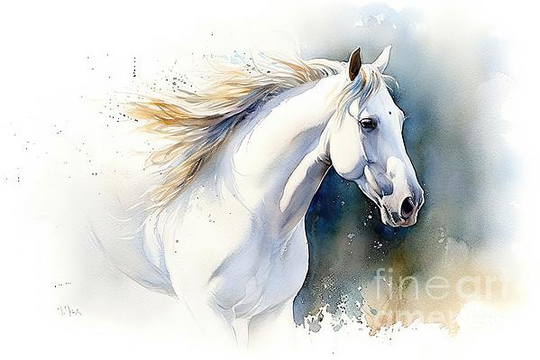 N Akkash - White horse in watercolor