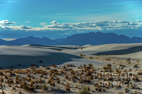 Stephen Whalen - White Sands New Mexico