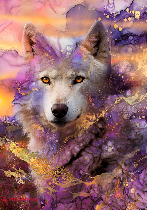 Brian Sheerin - White Wolf