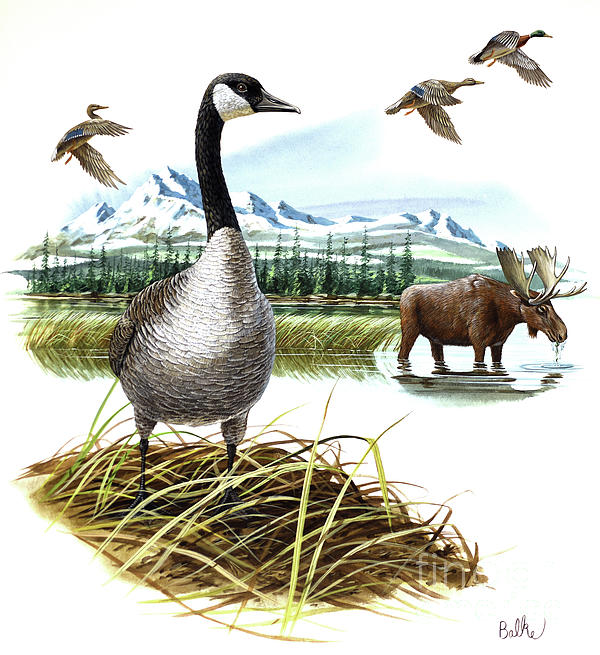Animal Paintings