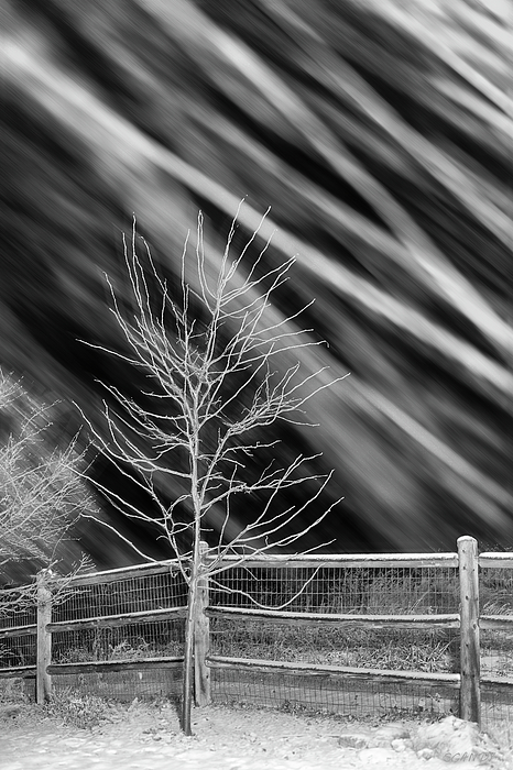Steve Gandy - Wind and Snow Black and White